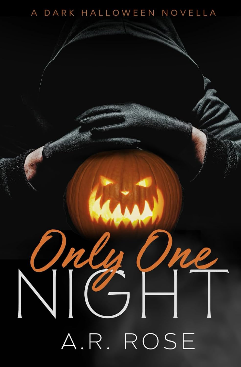 Only One Night (A.R.'s Holiday Standalones)