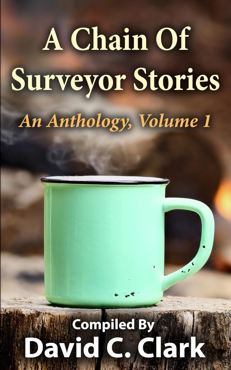A Chain Of Surveyor Stories: Volume 1