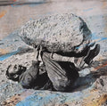 Compassion (DELUXE EDITION)