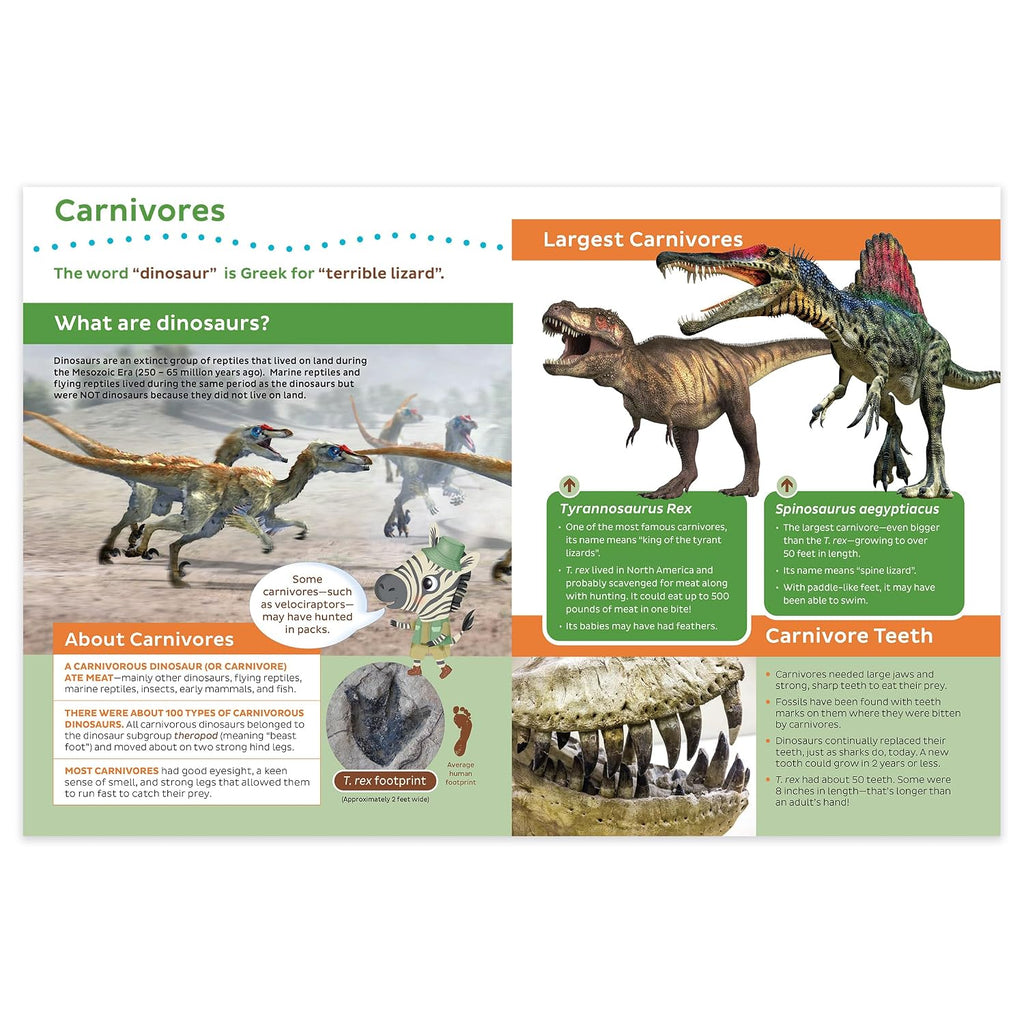 Seek & Find with Freddy and Ellie, 4 Book Set. Includes Dinosaurs, Outer Space, The Case of the Missing Mona Lisa, and The Secret of the Roman Colosseum