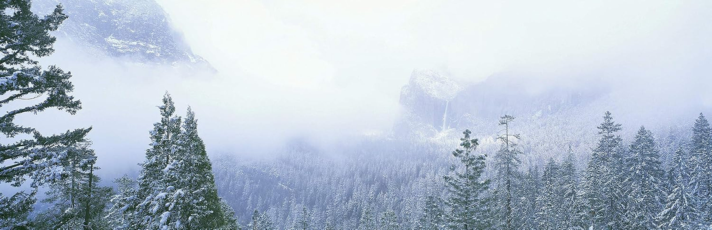 Tim Janis All is Bright: Enchanting Christmas Melodies with Piano & Smooth Harmonies – Serene Instrumental Christmas Music for Winter & the Holidays – Festive, Relaxing, Timeless & Melodic Instrumental Music Compilation