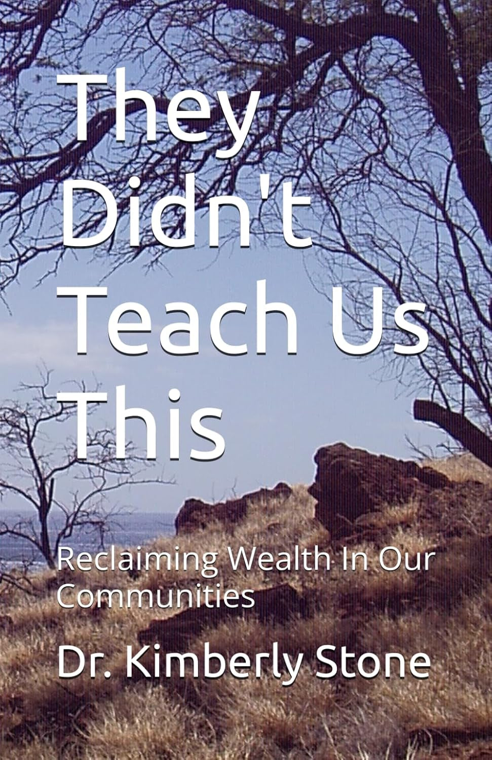 They Didn't Teach Us This: Reclaiming Wealth In Our Communities