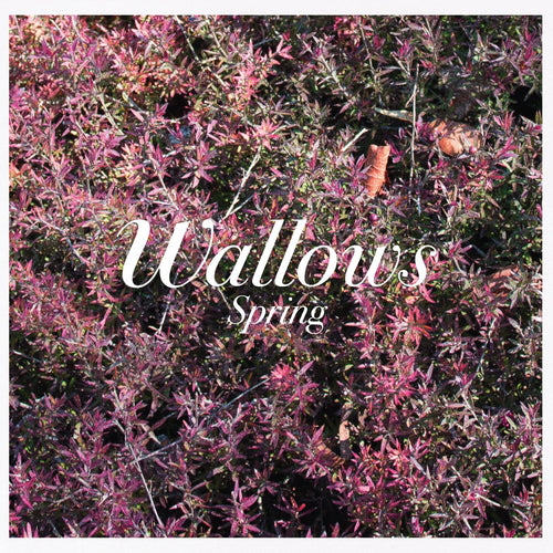 Spring EP