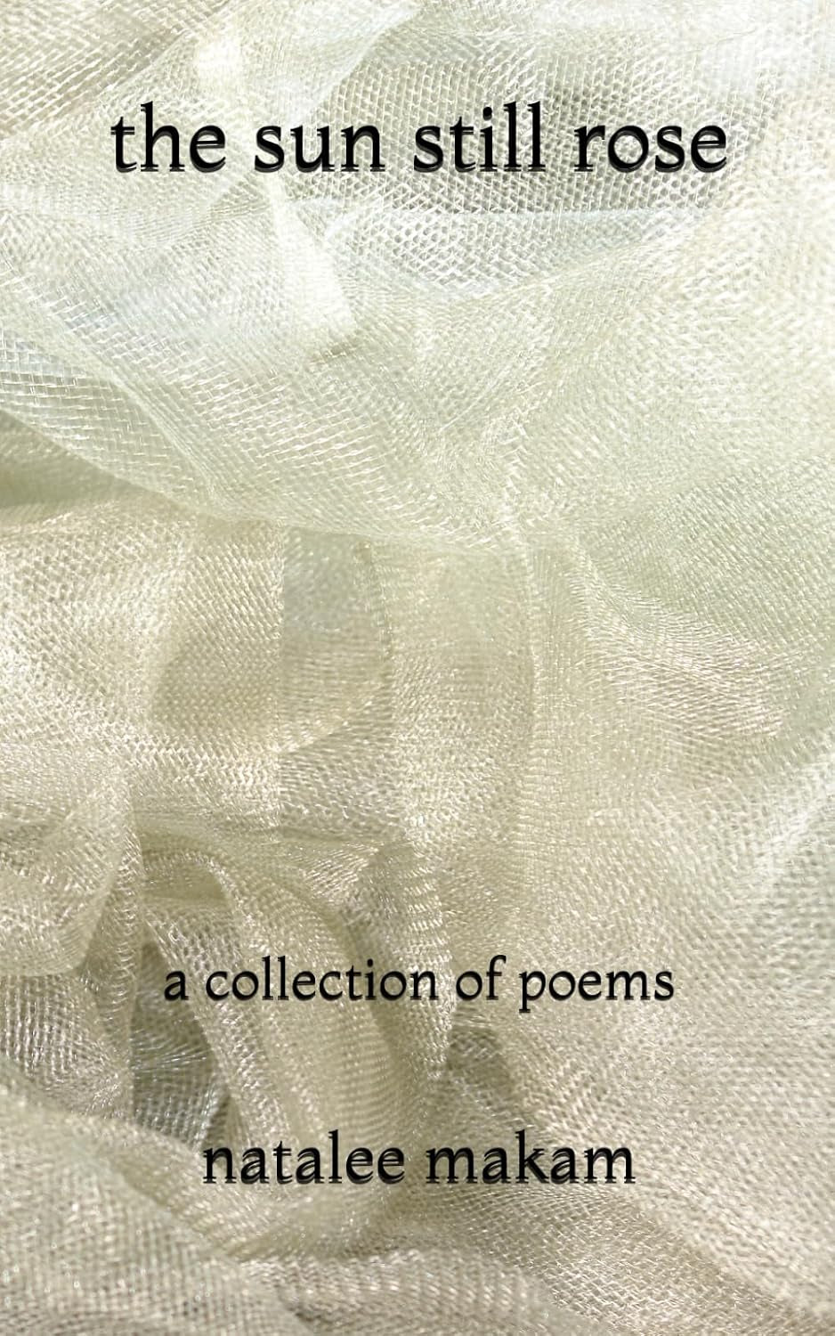 The Sun Still Rose: A Collection of Poems