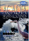 Acadia Sights & Sounds