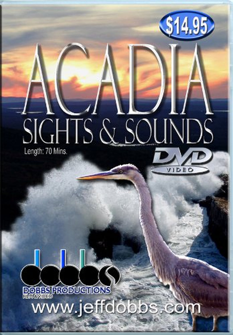 Acadia Sights & Sounds