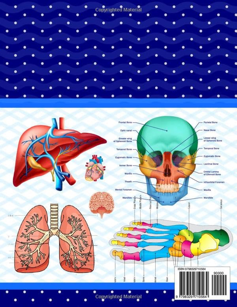 Anatomy and Physiology Coloring Book: Learn The Human Body Anatomy and Physiology in a Fun and Easy Way. It Helpful for Human Anatomy Students and Teachers.