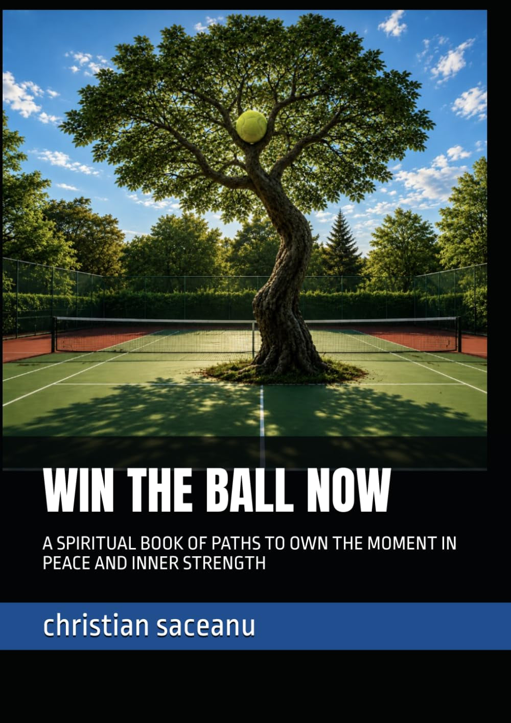 WIN THE BALL NOW: A SPIRITUAL BOOK OF PATHS TO OWN THE MOMENT IN PEACE AND INNER STRENGTH