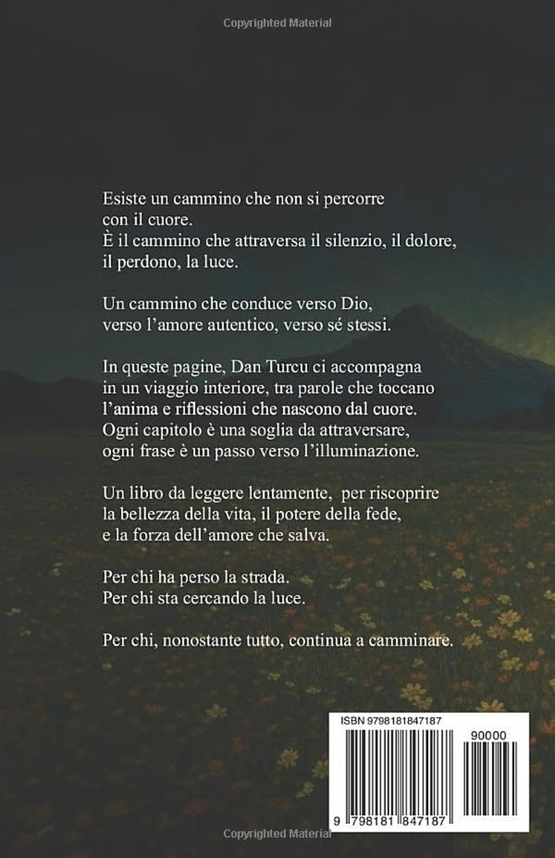 Il cammino che porta all'illuminazione (Italian Edition)