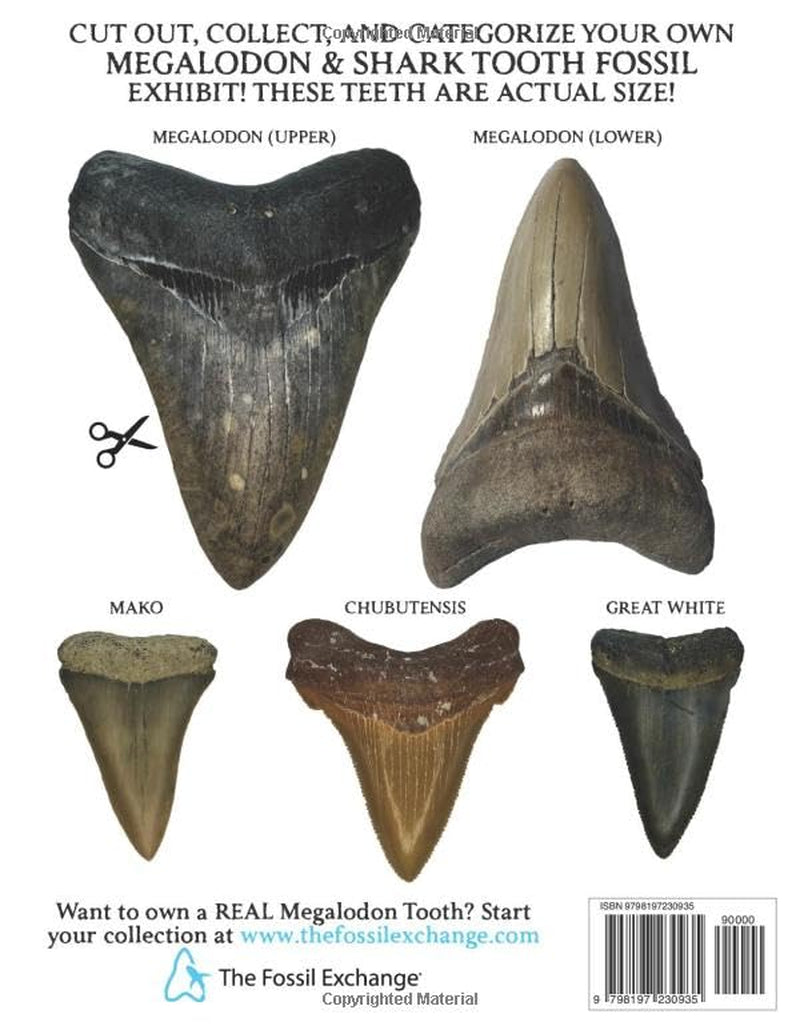The Mega Megalodon, Shark, and Marine Fossil Coloring Book: Presented By The Fossil Exchange