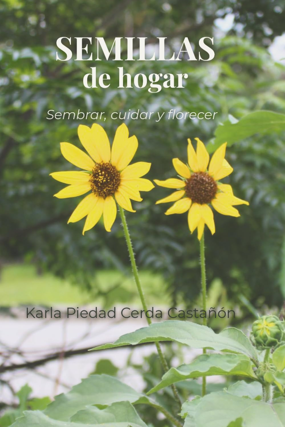 Semillas de Hogar: Sembrar, cuidar y florecer (Spanish Edition)