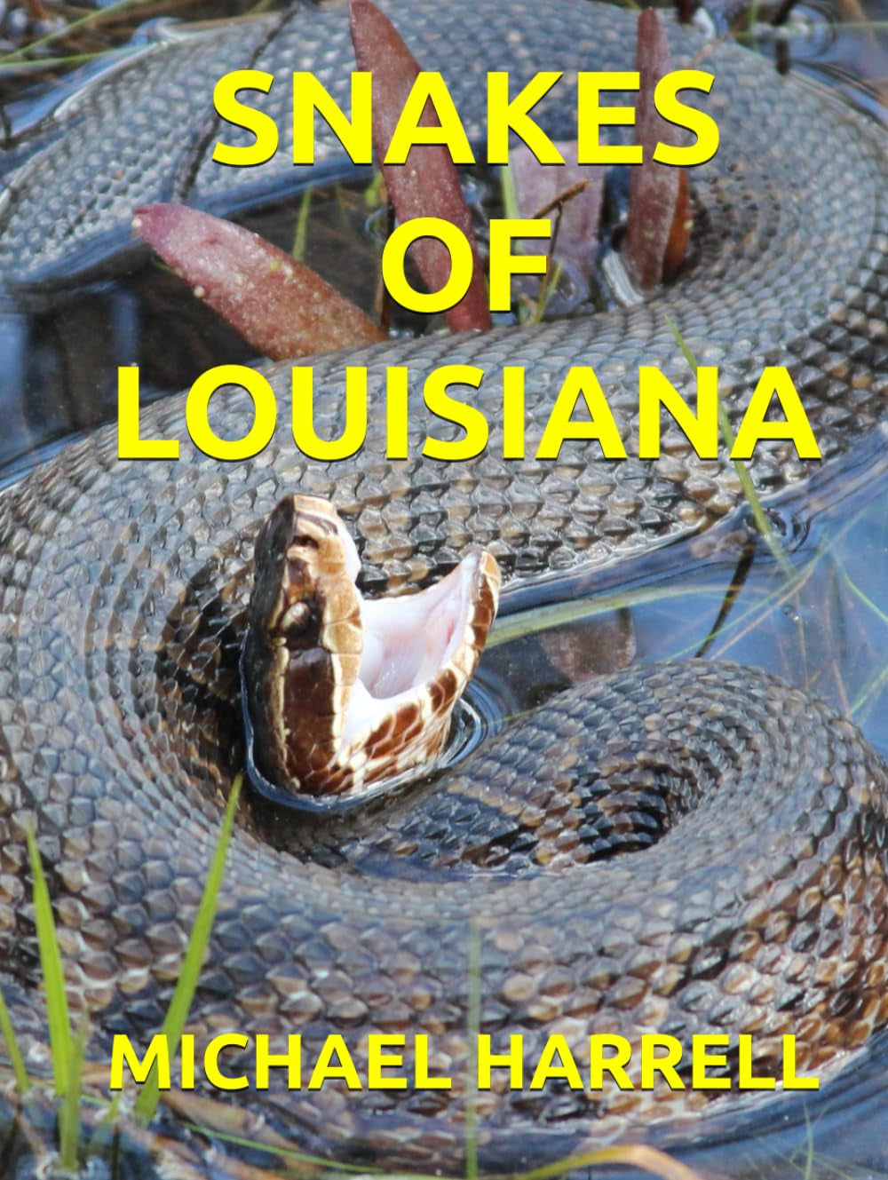 SNAKES OF LOUISIANA (Wildlife of North America and other educational books.)