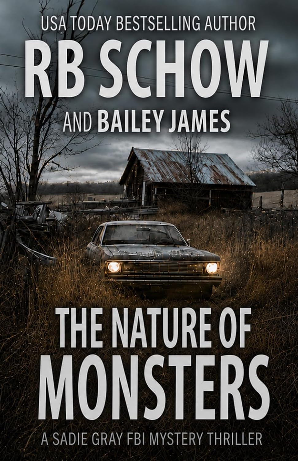 The Nature of Monsters: A Sadie Gray FBI Mystery Series