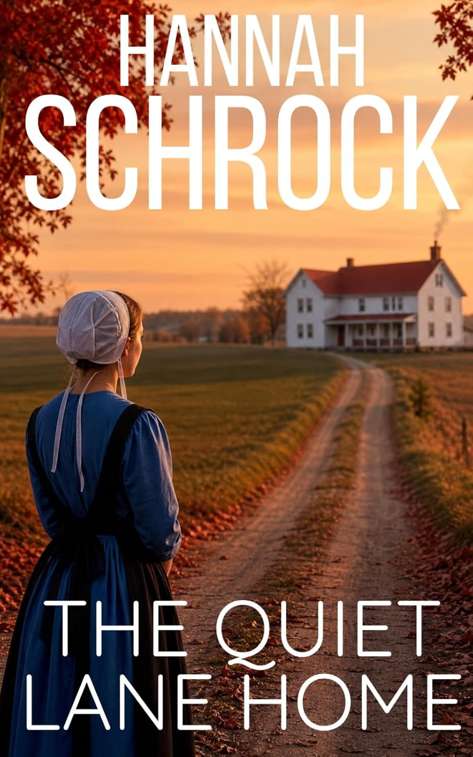 The Quiet Lane Home