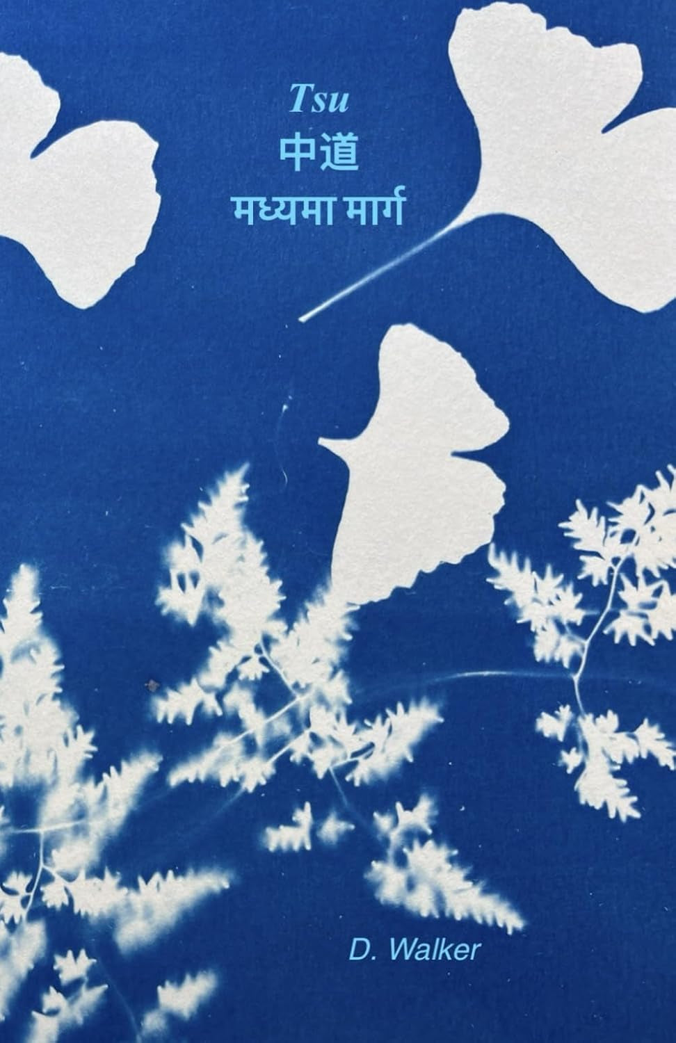 Tsu 中道 मध्यमा मार्ग