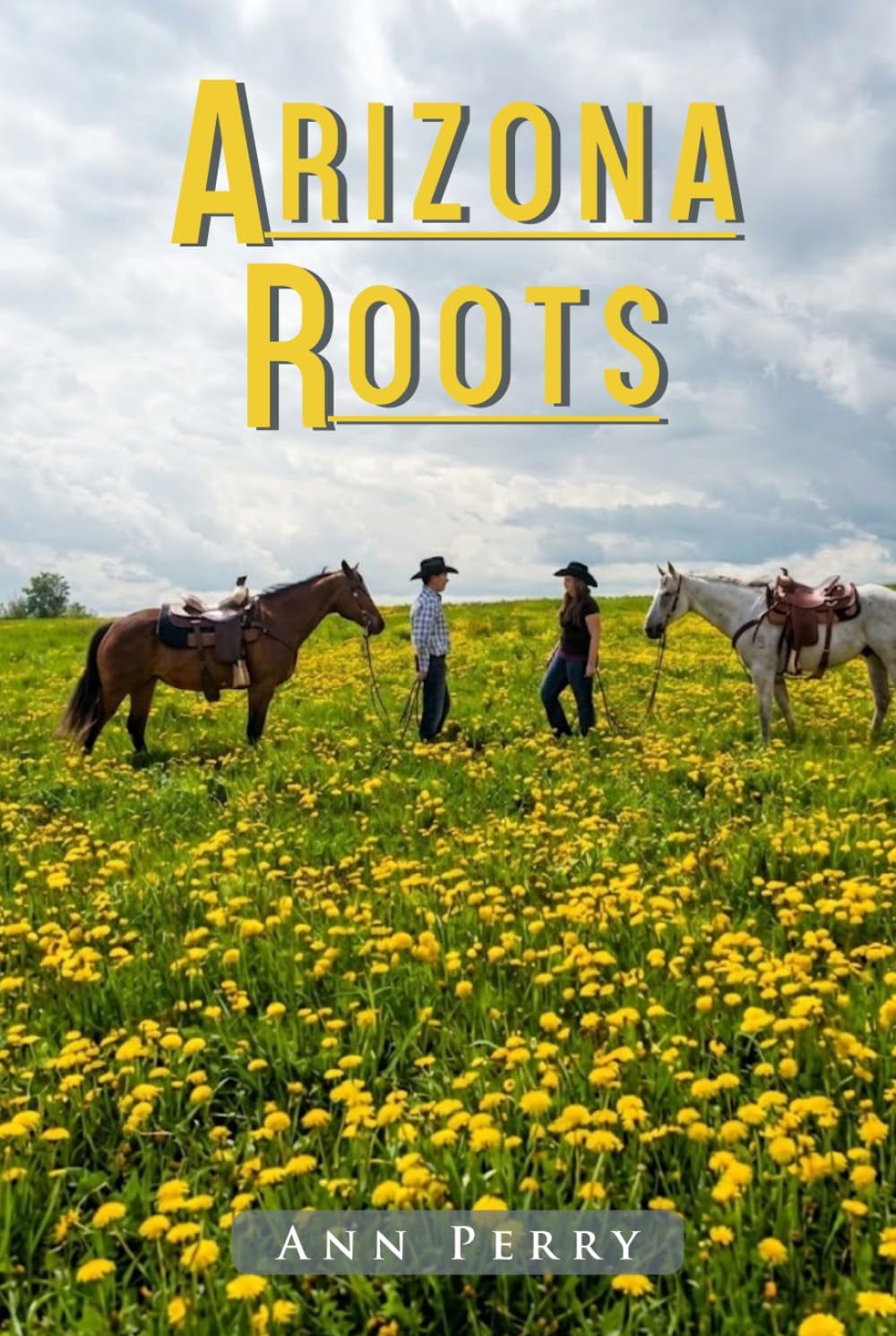 Arizona Roots: Novel of Love, Loss, and the American West