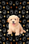 Notebook journal for women who love dogs and puppies: Notebook journal with a dog on the cover - lined 6*9 - 100 pages