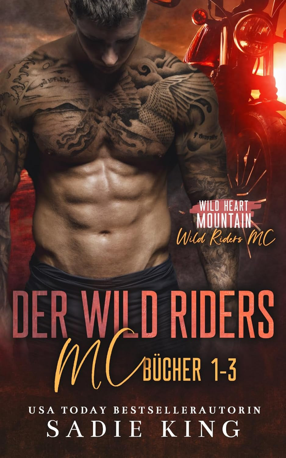 Der Wild Riders MC Bücher 1-3: Eine Romantik-Sammlung (German Edition)