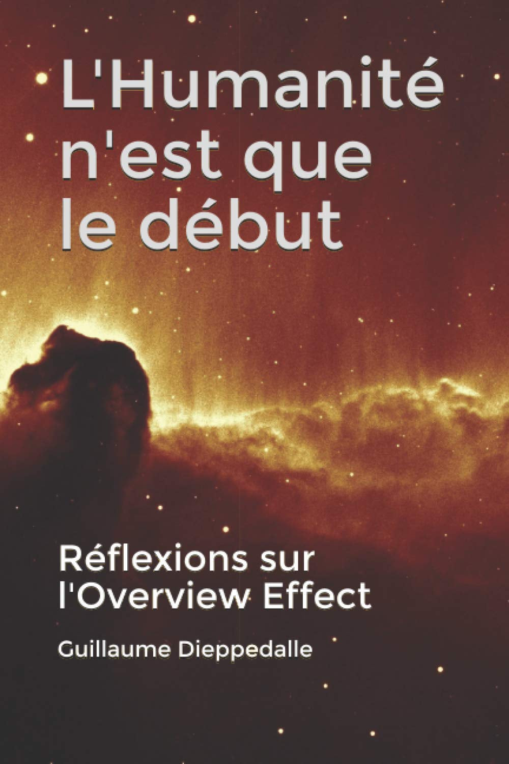L'Humanité n'est que le début: Réflexions sur l'Overview Effect (French Edition)