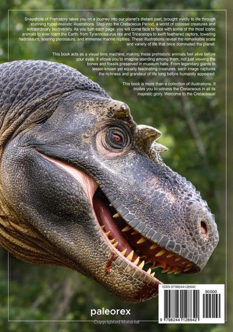 Snapshots of Prehistory