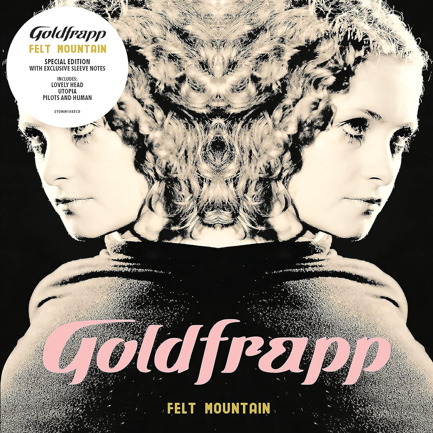 Felt Mountain