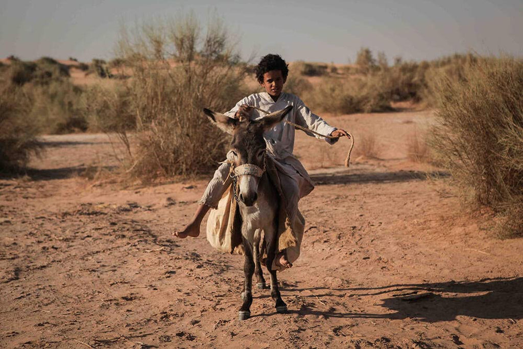 Theeb