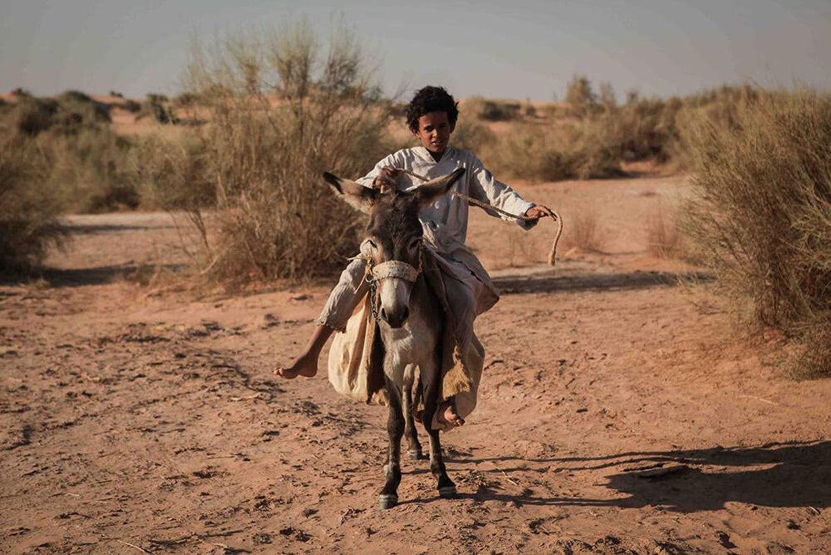 Theeb