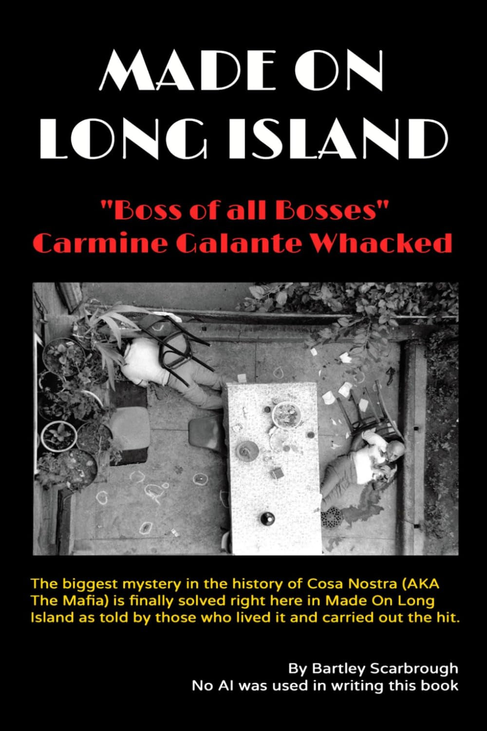 Made On long Island: The true story of how Little League baseball players met John Gotti through massive fireworks sales and became Cosa Nostra members that killed Boss of all Bosses Carmine Galante.
