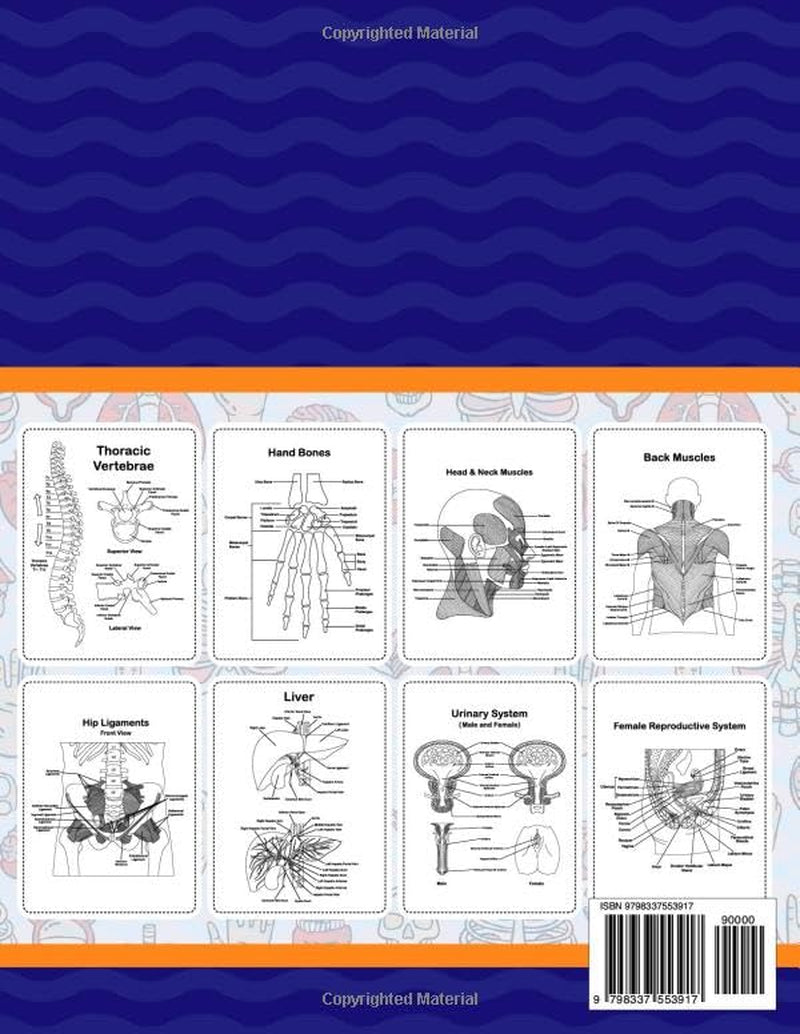 Human Anatomy Coloring Book For Adults: It Will Be Great For Adults To Learn Human Anatomy Easily. It Includes Human Muscles Anatomy, Bones Anatomy, Organs Anatomy, Cells And Tissues Anatomy.