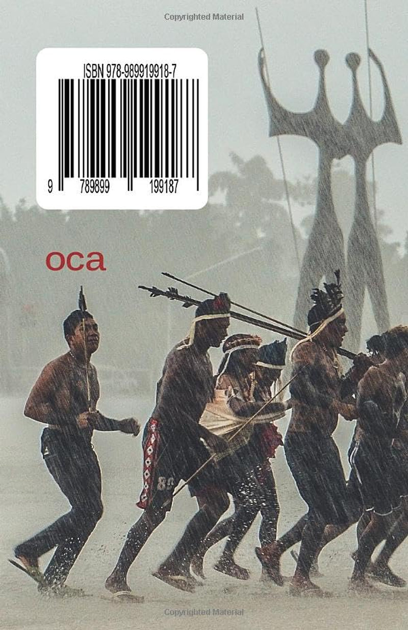 Indígenas em Movimento: Breve história do movimento indígena no Brasil (Portuguese Edition)