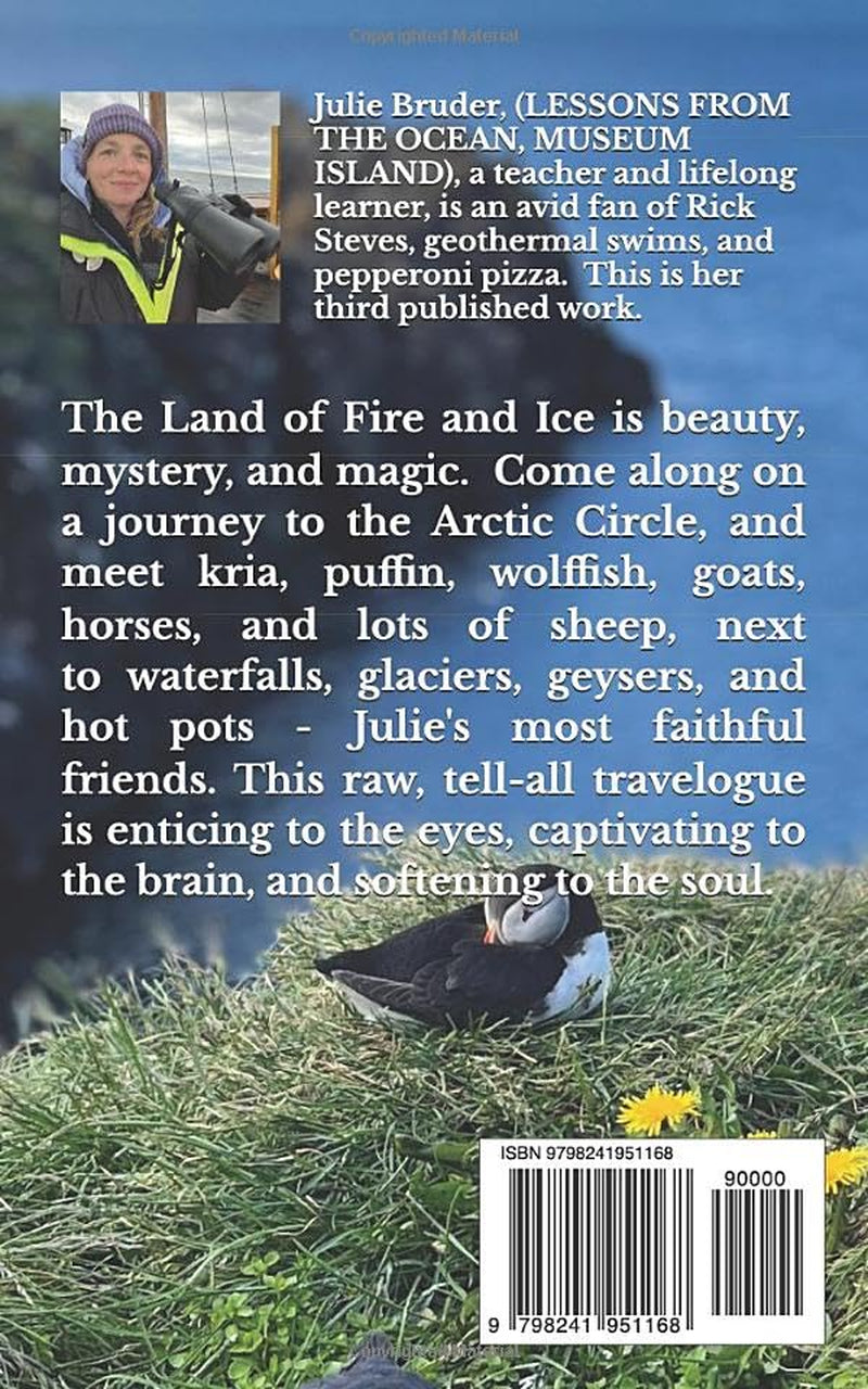 Lessons from Iceland