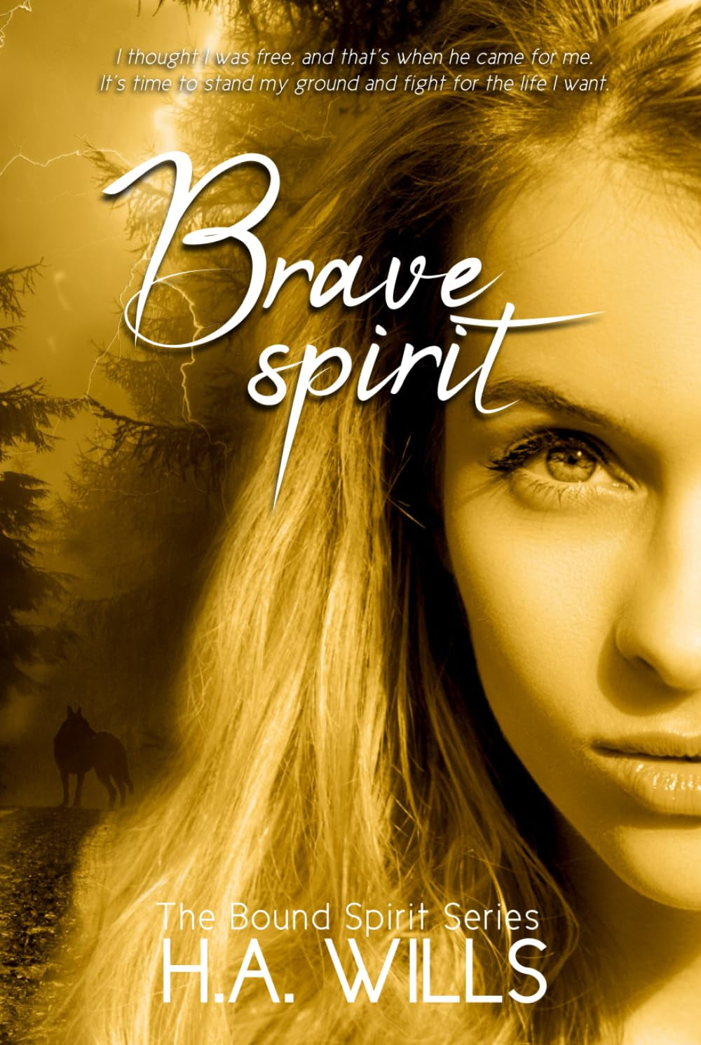 Brave Spirit: Book Six of The Bound Spirit Series