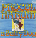a Salty Dog