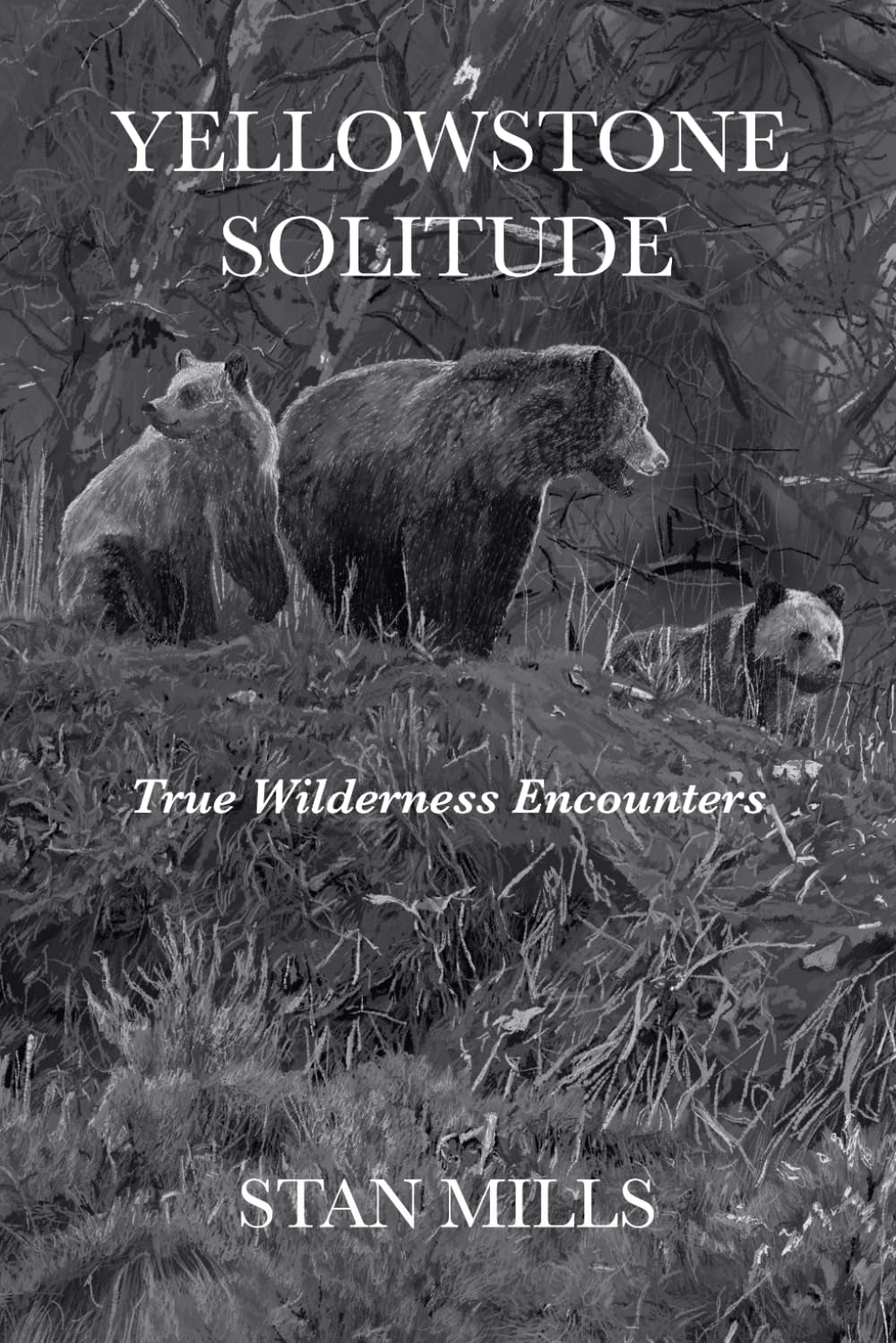 YELLOWSTONE SOLITUDE: True Wilderness Encounters