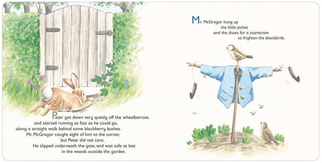 The Tale of Peter Rabbit