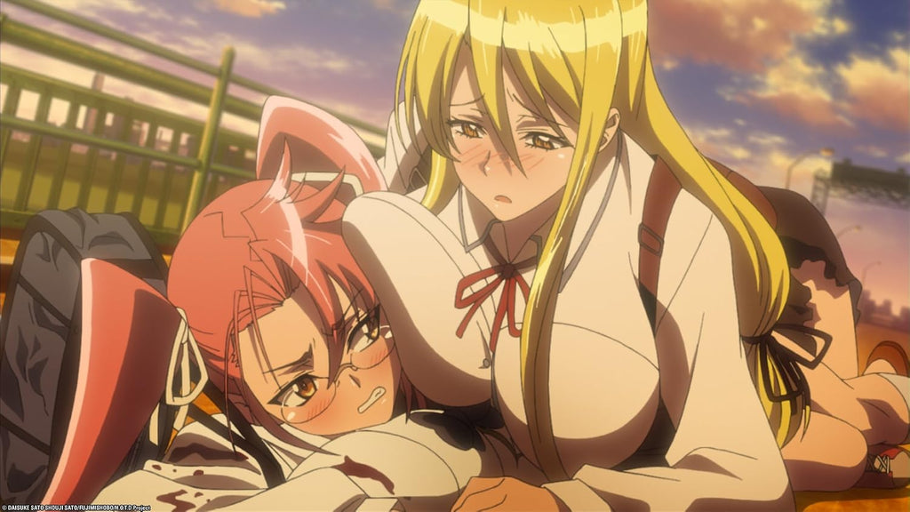 High School of the Dead Collectors Edition DVD/BD Boxed Set