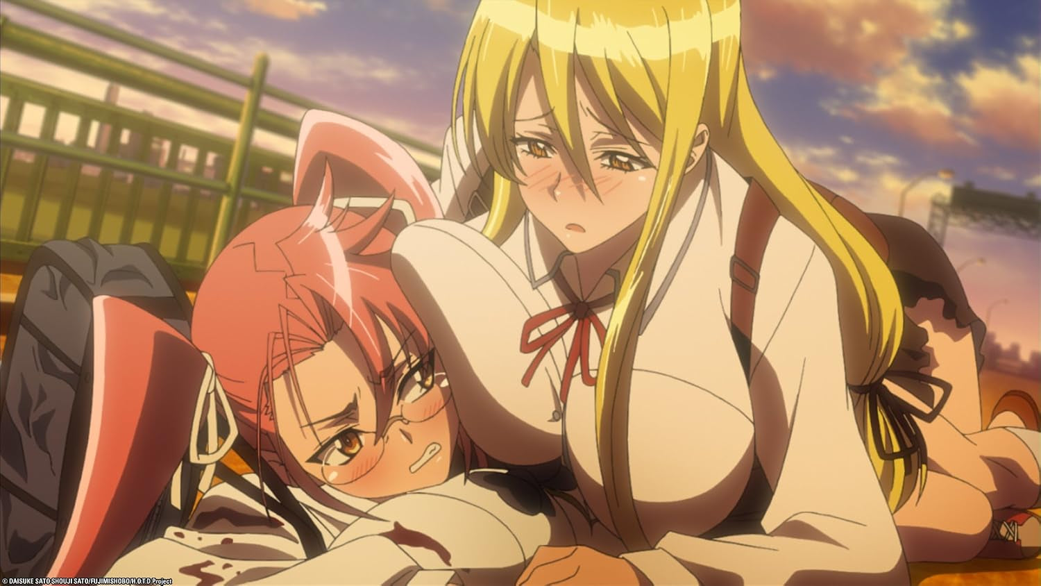 High School of the Dead Collectors Edition DVD/BD Boxed Set