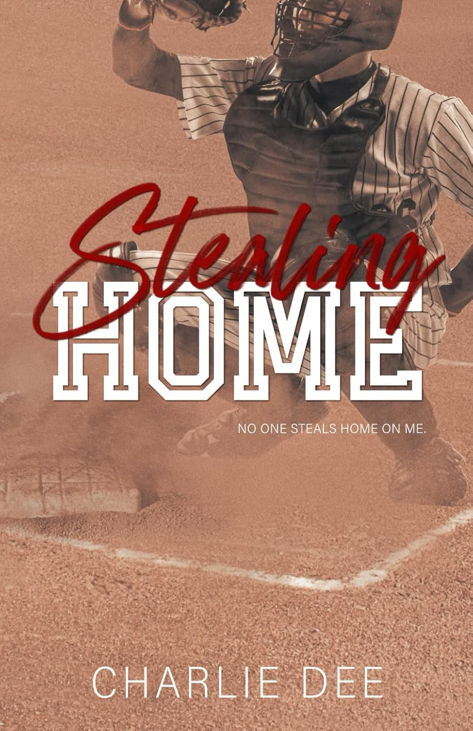 Stealing Home (The NY Grizzlies)