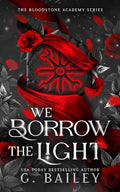 We Borrow The Light (The Bloodstone Academy Series)
