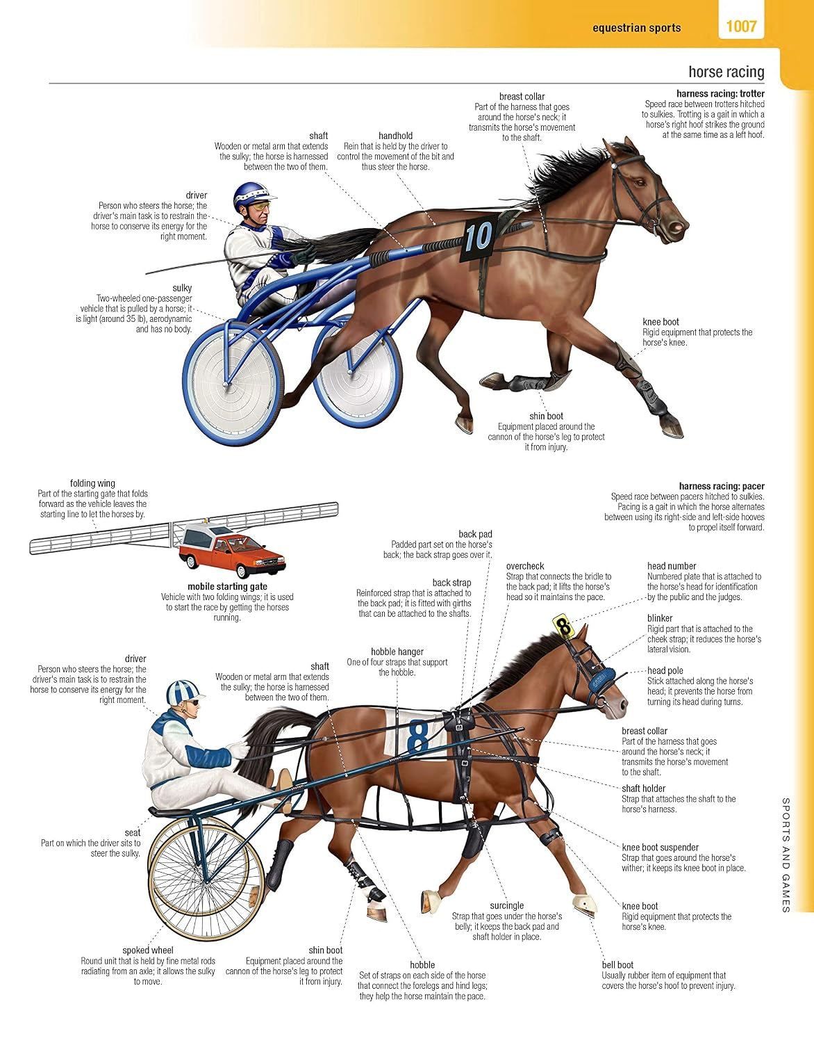 Merriam-Webster’s Visual Dictionary: Second Edition - Newest Edition: Second Edition