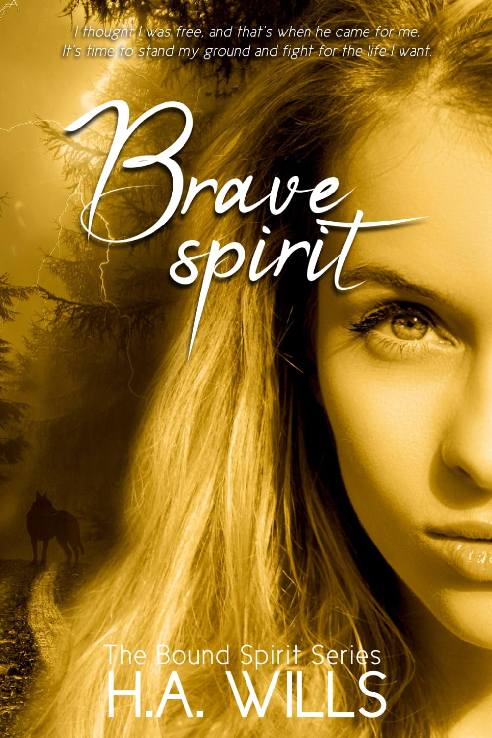 Brave Spirit: Book Six of The Bound Spirit Series