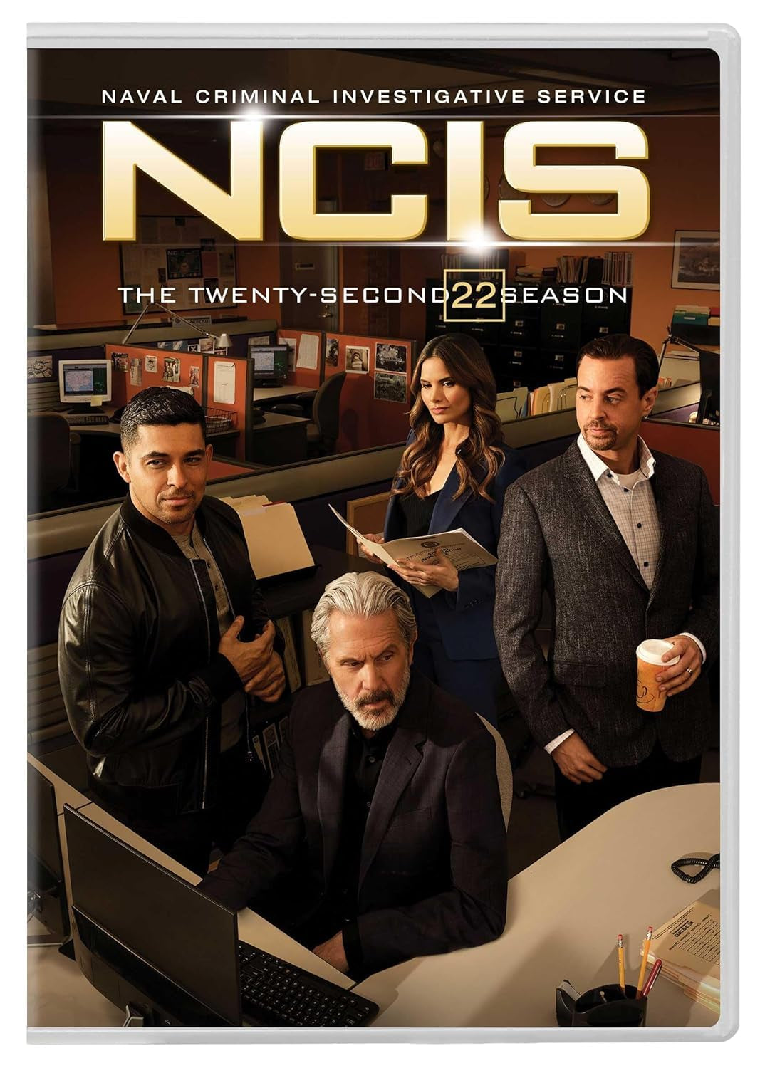 NCIS: Naval Criminal Investigative Service: The Twenty-Second Season [DVD]