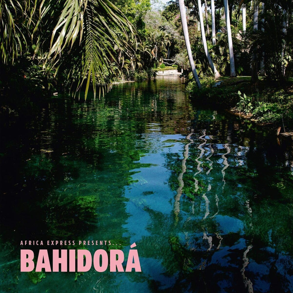 Africa Express Presents... Bahidor?