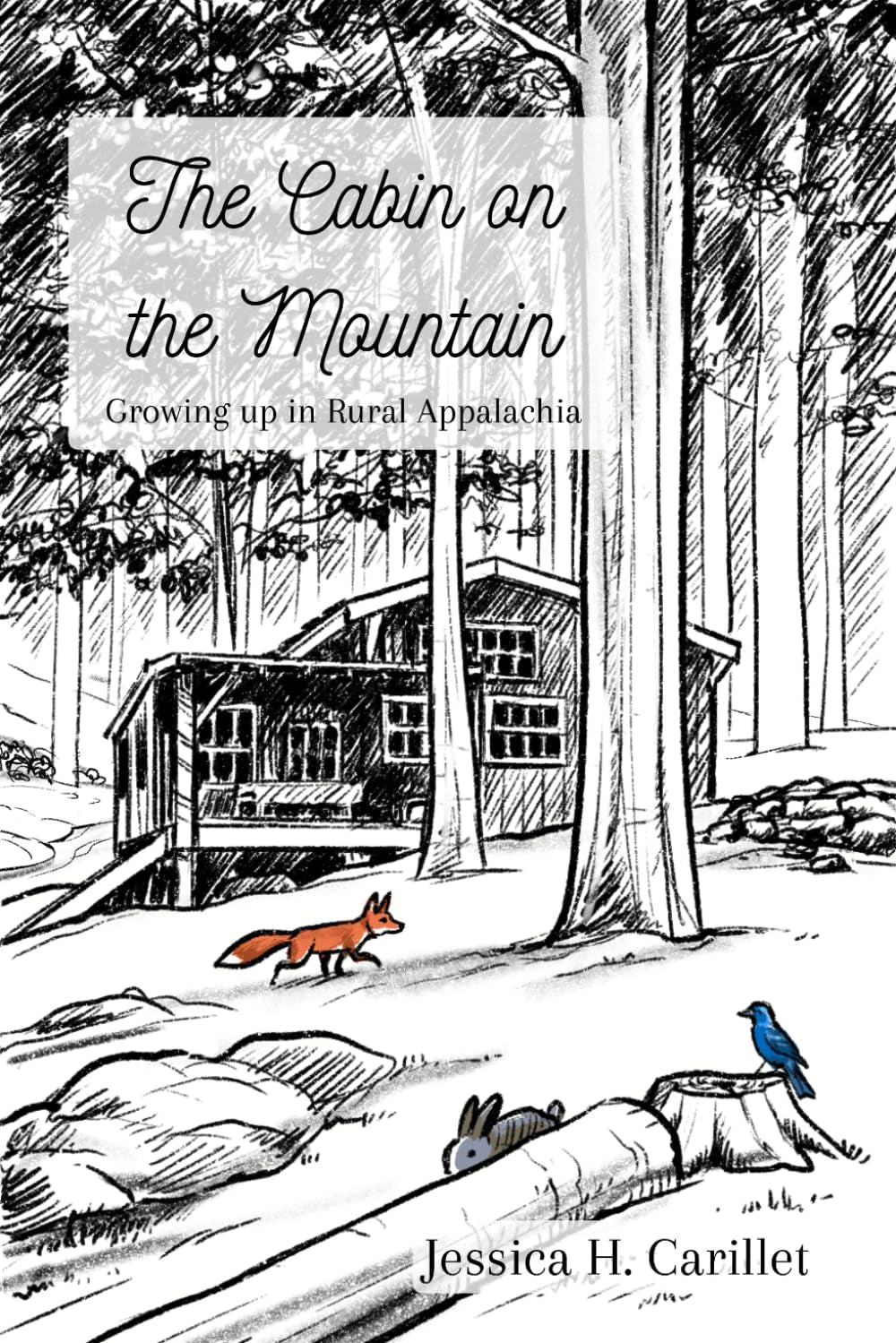 The Cabin on the Mountain: Growing Up in Rural Appalachia
