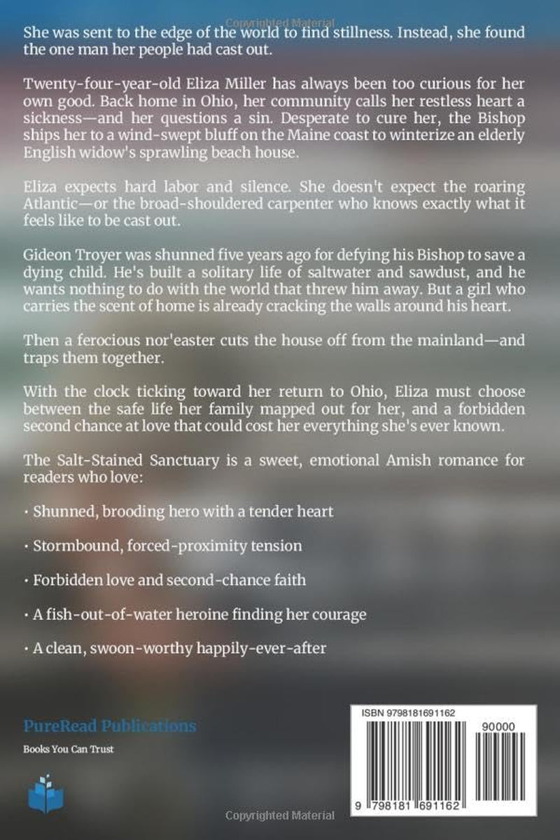 The Salt Stained Sanctuary: LARGE PRINT EDITION (Amish Beach House Romance LARGE PRINT)