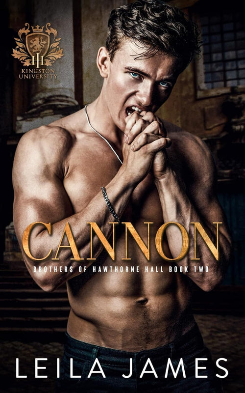 Cannon: Dark College Bully Romance (Brothers of Hawthorne Hall)