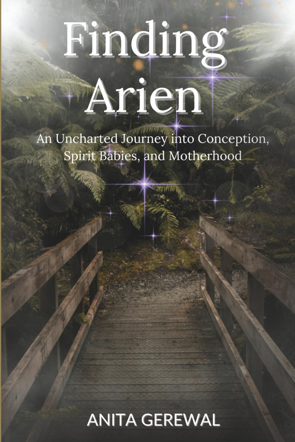 Finding Arien: An Uncharted Journey into Conception, Spirit Babies, and Motherhood