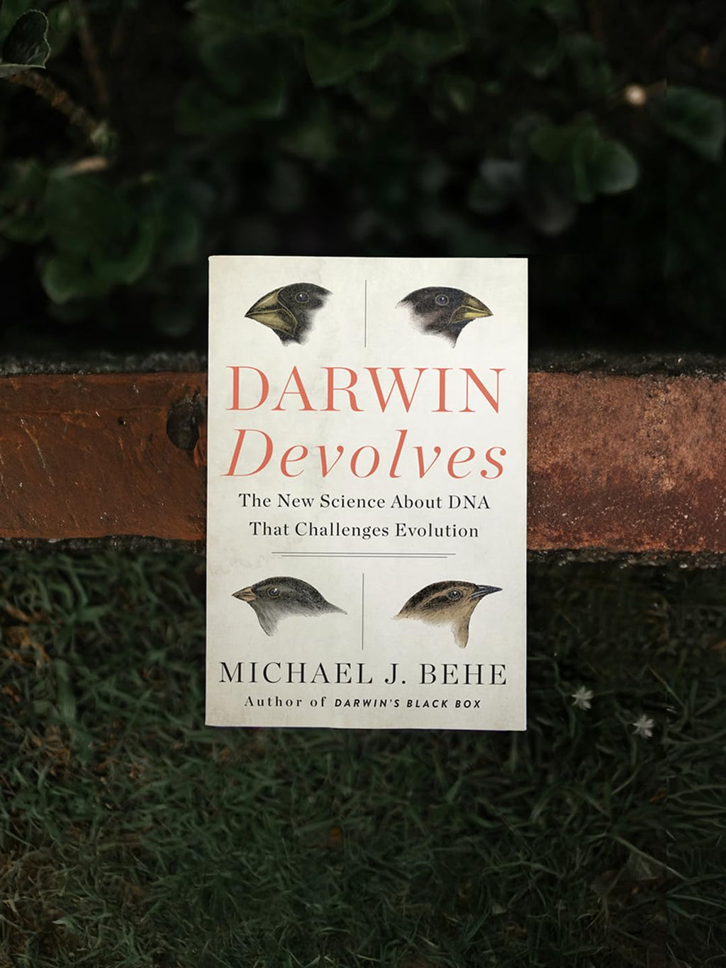 Darwin Devolves: The New Science About DNA That Challenges Evolution ― As Featured in the Film, The Story of Everything