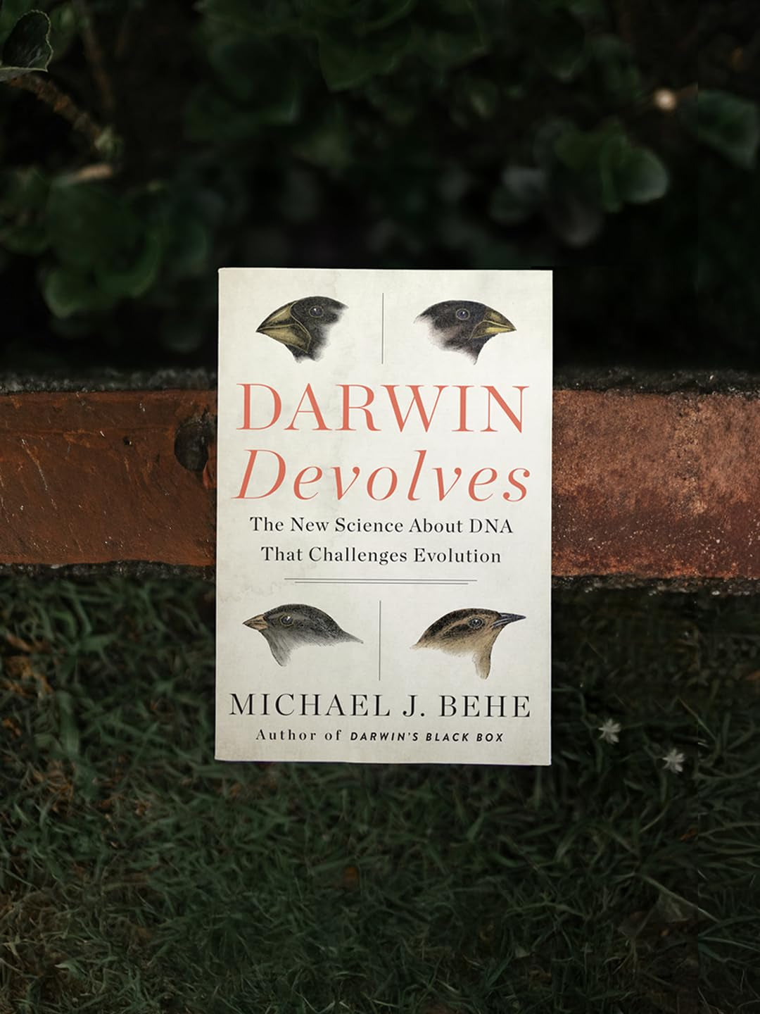 Darwin Devolves: The New Science About DNA That Challenges Evolution ― As Featured in the Film, The Story of Everything