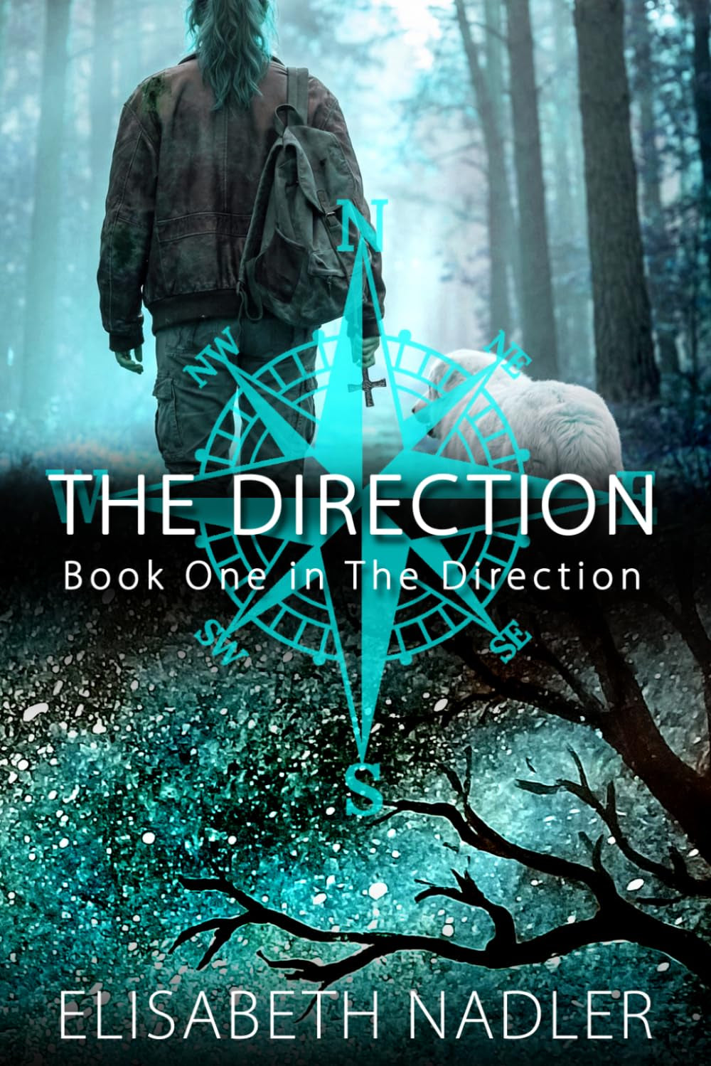 The Direction: Book One in The Direction (Special Cover Edition)